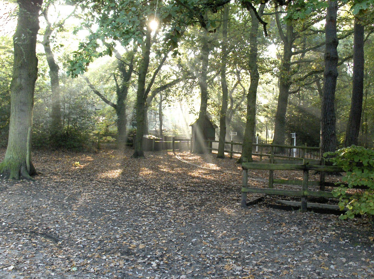 Frimley Lodge Miniature Railway
